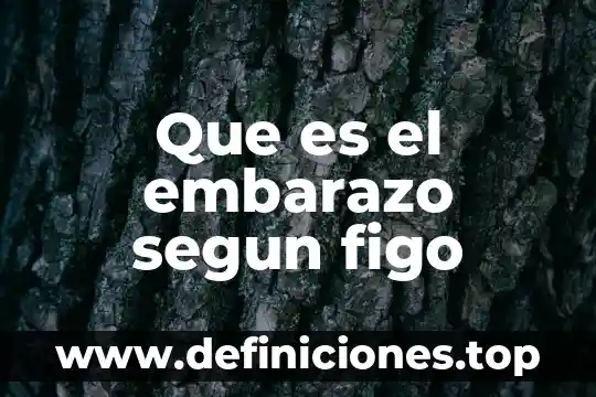Que es el embarazo segun figo