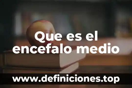 Que es sales development representative 6 Que es el encefalo medio
