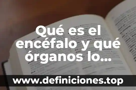 Parenquima órganos que es 3 Qué es el encéfalo y qué órganos lo constituyen