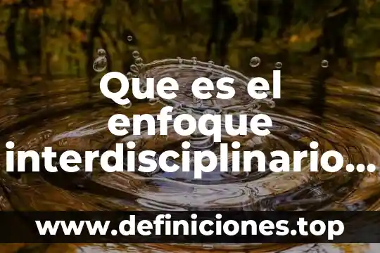 Qué es el enfoque interdisciplinario de las ciencias sociales 8 Que es el enfoque interdisciplinario de la administracion