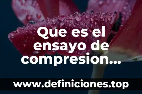 Que es el ensayo de compresion inconfinada