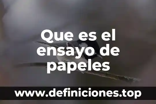 Que es el ensayo de papeles