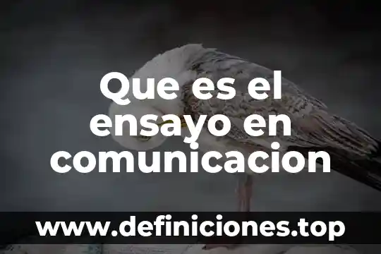 Que es el ensayo en comunicacion
