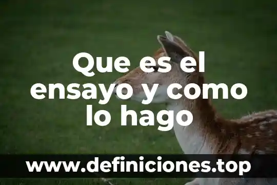 Que es el ensayo y como lo hago
