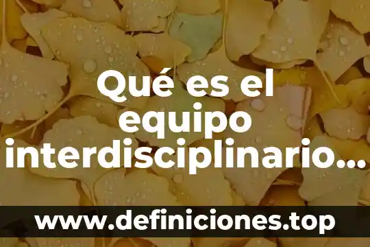 Qué es el enfoque interdisciplinario de las ciencias sociales 3 Qué es el equipo interdisciplinario en educación especial
