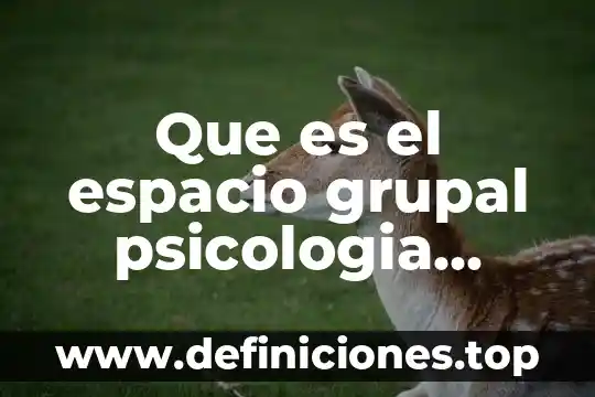 Que es el espacio grupal psicologia social