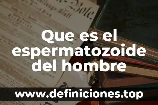Que es office mix significado 7 Que es el espermatozoide del hombre