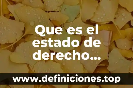 Que es el estado de derecho miguel carbonell