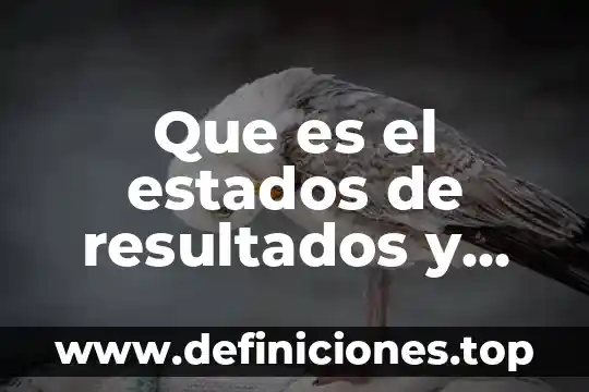Que es la interpretacion de resultados estadisticos 4 Que es el estados de resultados y para que sirve
