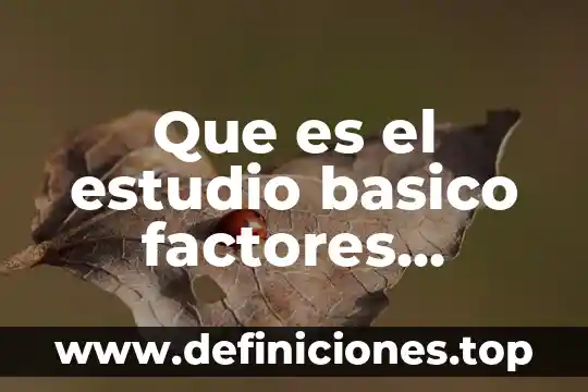 Que es programa básico 4 Que es el estudio basico factores condicionales