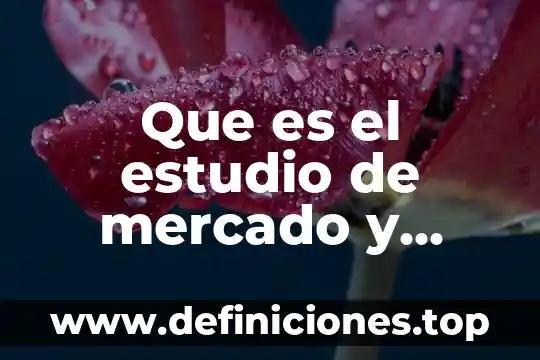 Mercado bursatil que es 7 Que es el estudio de mercado y como hacerlo
