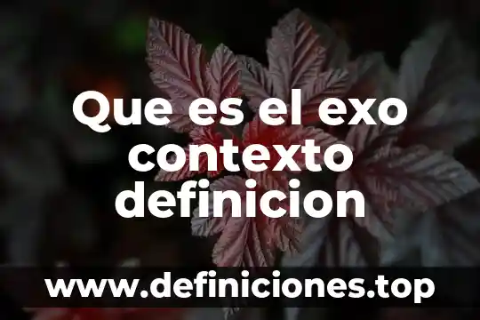Que es el exo contexto definicion