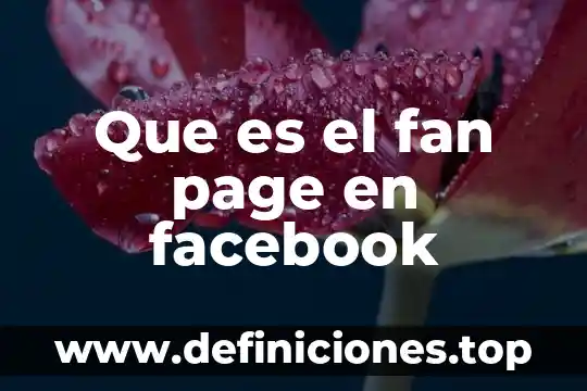 Que es el page rank 4 Que es el fan page en facebook