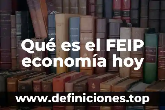 Que es ser docente hoy 4 Qué es el FEIP economía hoy