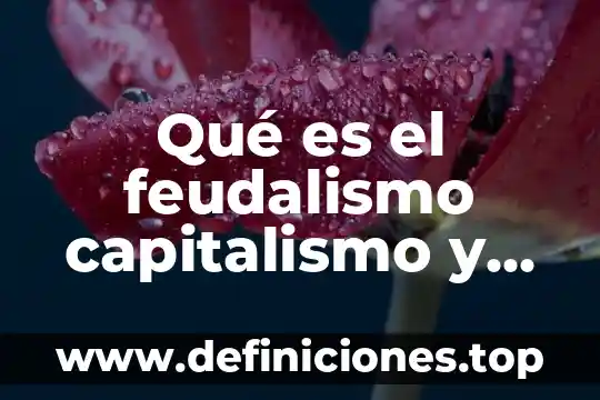 Para que es el socialismo cientifico 8 Qué es el feudalismo capitalismo y socialismo