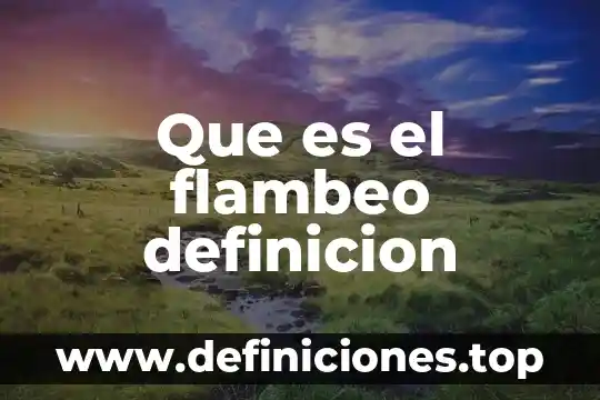 Que es el flambeo definicion