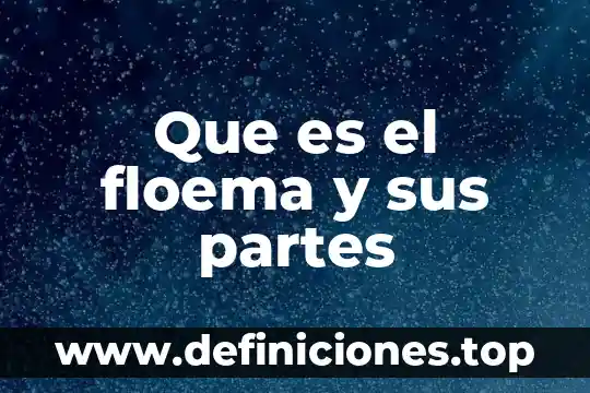 Qué es un estrictivo partes 4 Que es el floema y sus partes