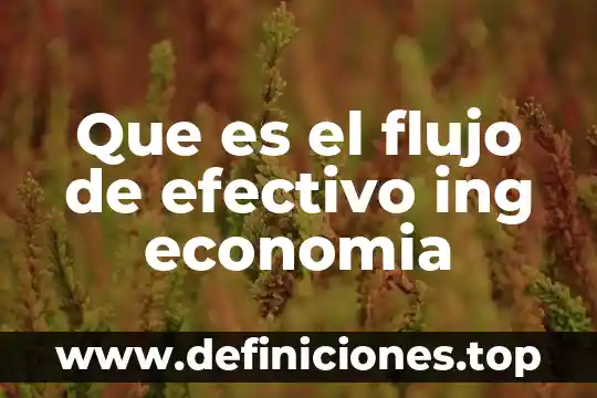 Que es dato estadisticamente 7 Que es el flujo de efectivo ing economia
