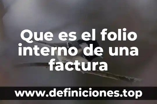 Qué es estado financiero interno 5 Que es el folio interno de una factura