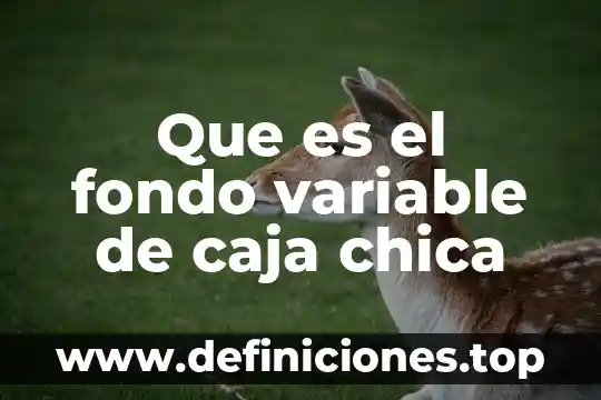 Que es el fondo variable de caja chica