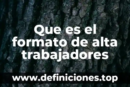 Que es el estatuto de los trabajadores de la educacion 7 Que es el formato de alta trabajadores