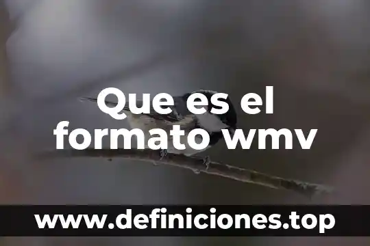 Qué es editorial en formato apa 8 Que es el formato wmv
