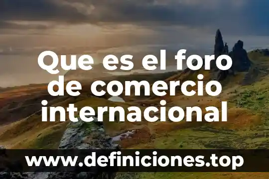 Que es foro en lenguaje computadoras 7 Que es el foro de comercio internacional