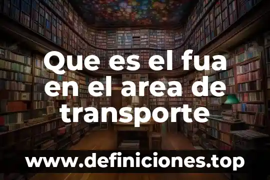 Que es timing en una composicion animada 7 Que es el fua en el area de transporte