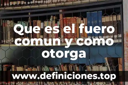 Qué es objetivo común 4 Que es el fuero comun y como otorga