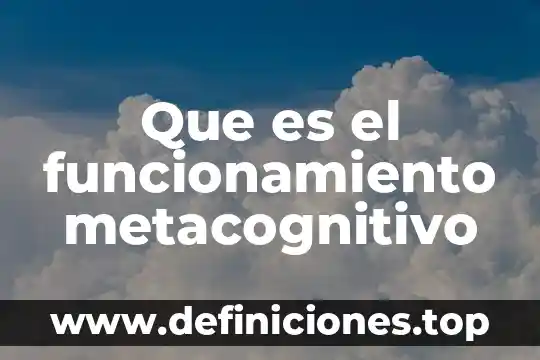 Que es el funcionamiento metacognitivo