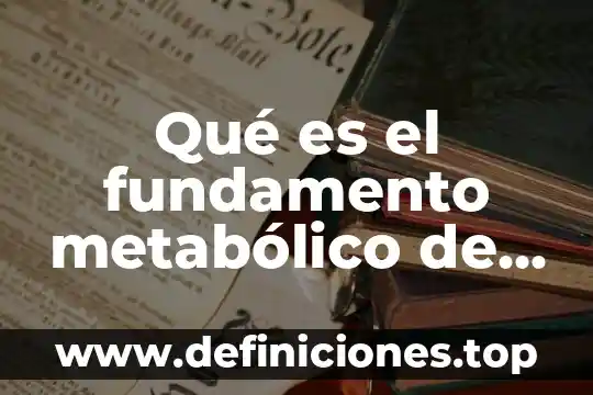 Que es la retroactividad de la ley y fundamento constitucional 3 Qué es el fundamento metabólico de un medio