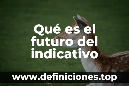 Qué es una entrevista según autores 4 Qué es el futuro del indicativo
