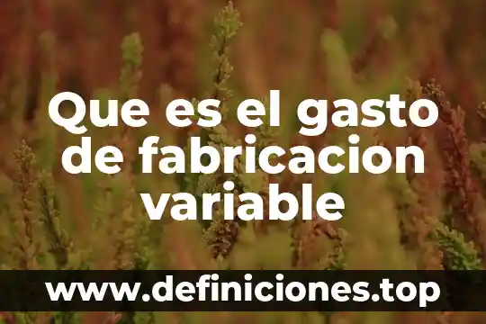 Qué es la distribución funcional del gasto 5 Que es el gasto de fabricacion variable