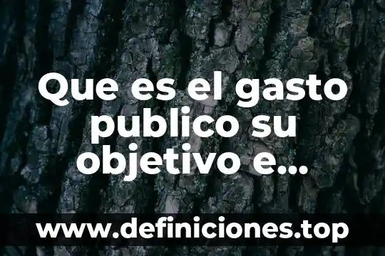 Qué es la distribución funcional del gasto 7 Que es el gasto publico su objetivo e importancia economica