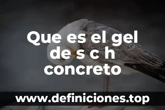Que es el gel de s c h concreto
