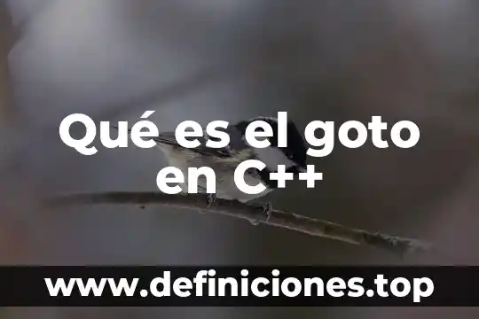 Qué es el include en c 5 Qué es el goto en C++