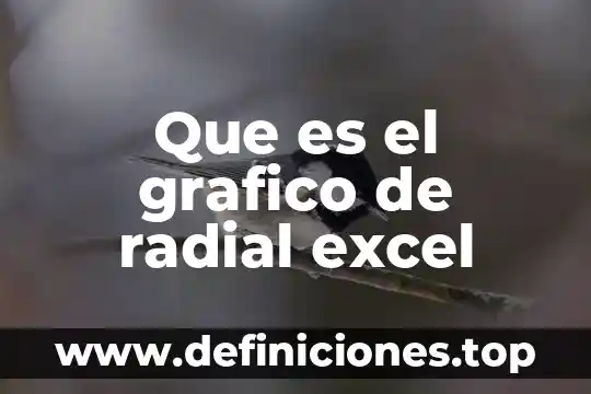 ¿Qué es mejor medios audiovisuales o diseño gráfico? 6 Que es el grafico de radial excel