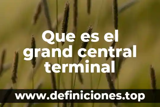 Qué es el operadores relacionales en calculo diferencial 4 Que es el grand central terminal