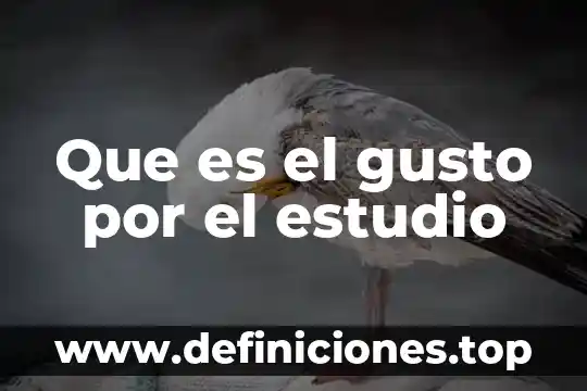 Qué es el sentido del gusto y sus partes 3 Que es el gusto por el estudio