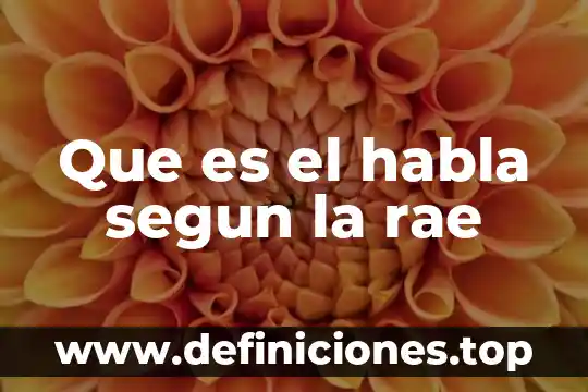 Qué es la lógica en el diccionario rae 7 Que es el habla segun la rae