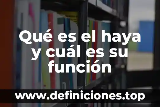 Qué es el haya y cuál es su función