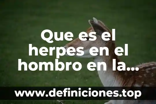 Que es inestabilidad del hombro 4 Que es el herpes en el hombro en la metafisica