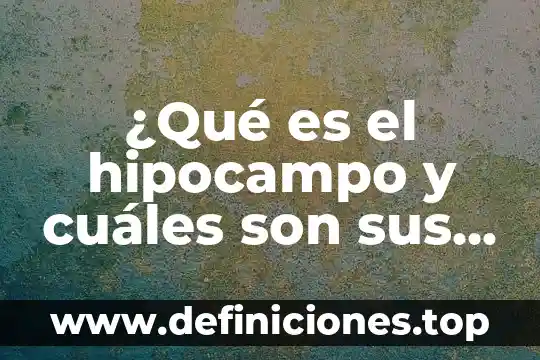 ¿Qué es el hipocampo y cuáles son sus funciones?