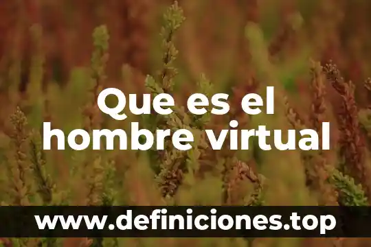 Que es el hombre virtual