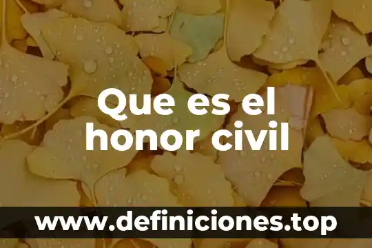 Que es el derecho civil segun unam 8 Que es el honor civil