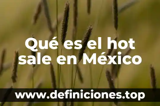 Que es lo que sucede cuando sale el arcoiris 3 Qué es el hot sale en México