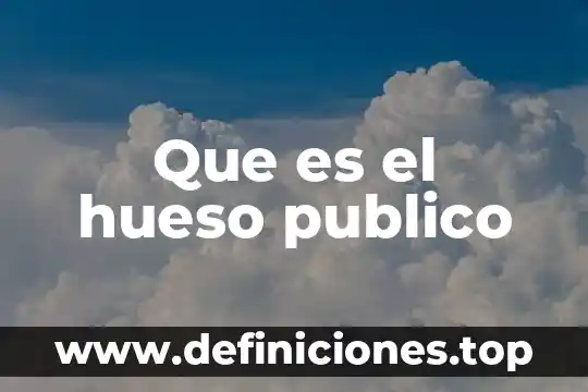 Ley de hacienda y crédito público que es 4 Que es el hueso publico