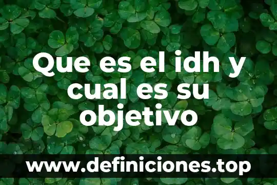 Qué es el área académica y cuál es su finalidad 3 Que es el idh y cual es su objetivo
