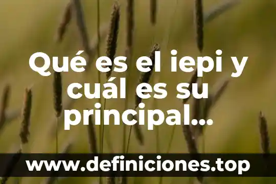 Qué es el área académica y cuál es su finalidad 7 Qué es el iepi y cuál es su principal función