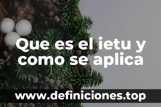 Que es el ietu y como se aplica